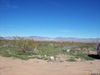 N Dome Rd photo